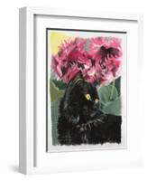 Black Tulips-Anne Robinson-Framed Giclee Print