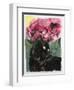 Black Tulips-Anne Robinson-Framed Giclee Print