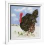 Black Turkey with Snow Berries, 1996-E.B. Watts-Framed Giclee Print