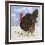 Black Turkey with Snow Berries, 1996-E.B. Watts-Framed Giclee Print