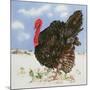 Black Turkey with Snow Berries, 1996-E.B. Watts-Mounted Giclee Print