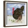 Black Turkey with Snow Berries, 1996-E.B. Watts-Framed Giclee Print