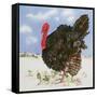 Black Turkey with Snow Berries, 1996-E.B. Watts-Framed Stretched Canvas