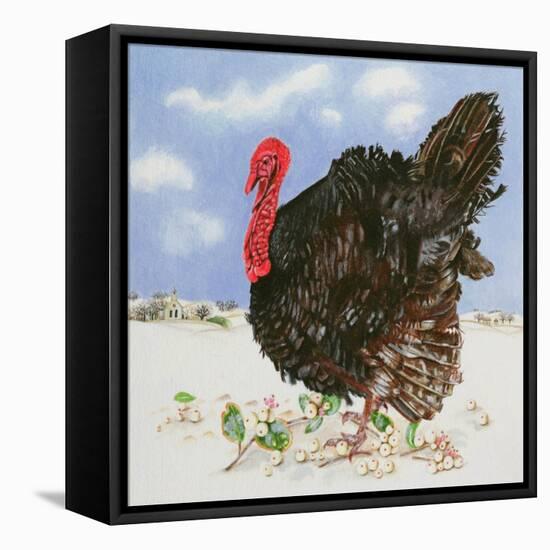 Black Turkey with Snow Berries, 1996-E.B. Watts-Framed Stretched Canvas