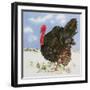 Black Turkey with Snow Berries, 1996-E.B. Watts-Framed Giclee Print