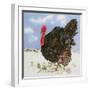 Black Turkey with Snow Berries, 1996-E.B. Watts-Framed Giclee Print