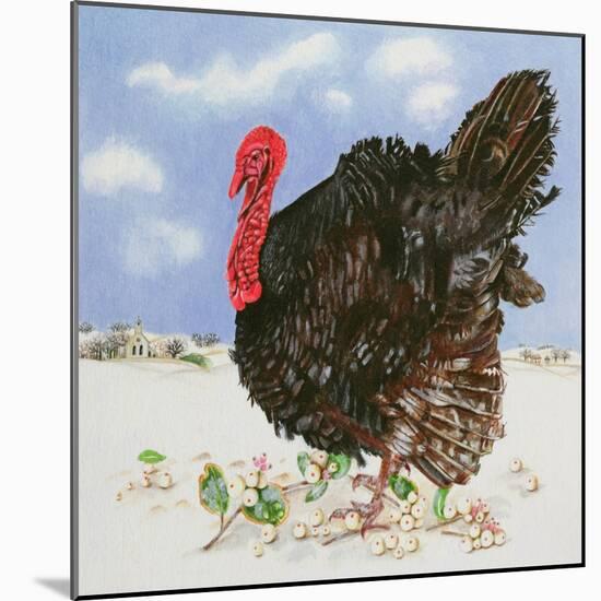 Black Turkey with Snow Berries, 1996-E.B. Watts-Mounted Giclee Print