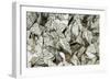 Black-Veined White Butterflies-Andrey Zvoznikov-Framed Photographic Print