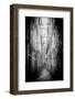 Black Venice - Dead End-Philippe HUGONNARD-Framed Photographic Print