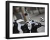 Black Vespa, Madrid, Spain-Walter Bibikow-Framed Photographic Print