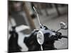 Black Vespa, Madrid, Spain-Walter Bibikow-Mounted Photographic Print