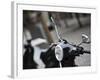 Black Vespa, Madrid, Spain-Walter Bibikow-Framed Photographic Print