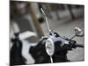 Black Vespa, Madrid, Spain-Walter Bibikow-Mounted Photographic Print