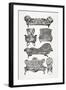 Black Victorian Lounge-Cat Coquillette-Framed Art Print