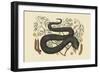 Black Viper-Mark Catesby-Framed Art Print