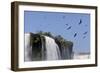 Black Vultures (Coragyps Atratus) In Flight Over Iguazu Falls-Angelo Gandolfi-Framed Photographic Print