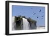 Black Vultures (Coragyps Atratus) In Flight Over Iguazu Falls-Angelo Gandolfi-Framed Photographic Print