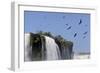 Black Vultures (Coragyps Atratus) In Flight Over Iguazu Falls-Angelo Gandolfi-Framed Photographic Print