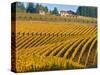 Black Walnut Inn and Vineyards of Bella Vida and Maresh, Dundee, Oregon, USA-Janis Miglavs-Stretched Canvas