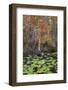 Black Water I-Danny Head-Framed Photographic Print