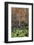 Black Water I-Danny Head-Framed Photographic Print