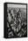 Black & White Aerial View of Nyc. Vertical New York.-Francois Roux-Framed Stretched Canvas