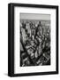 Black & White Aerial View of Nyc. Vertical New York.-Francois Roux-Framed Photographic Print