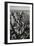 Black & White Aerial View of Nyc. Vertical New York.-Francois Roux-Framed Photographic Print