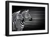 Black White And Zebras-Andre Villeneuve-Framed Photographic Print