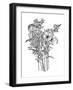 Black & White Bouquet II-Emma Scarvey-Framed Art Print