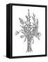 Black & White Bouquet IV-Emma Scarvey-Framed Stretched Canvas