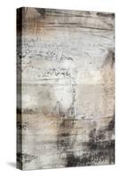 Black, White & Bronze II-Jennifer Goldberger-Stretched Canvas