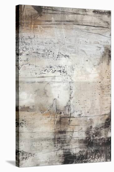Black, White & Bronze II-Jennifer Goldberger-Stretched Canvas