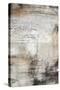 Black, White & Bronze II-Jennifer Goldberger-Stretched Canvas