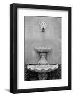 Black & White Fountains I-Laura DeNardo-Framed Photographic Print