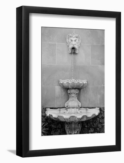 Black & White Fountains I-Laura DeNardo-Framed Photographic Print