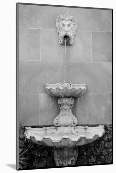 Black & White Fountains I-Laura DeNardo-Mounted Photographic Print