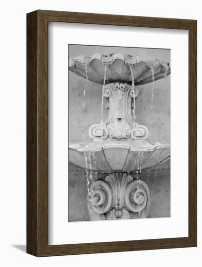 Black & White Fountains II-Laura DeNardo-Framed Photographic Print