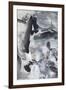 Black & White Mix III-Christina Long-Framed Art Print