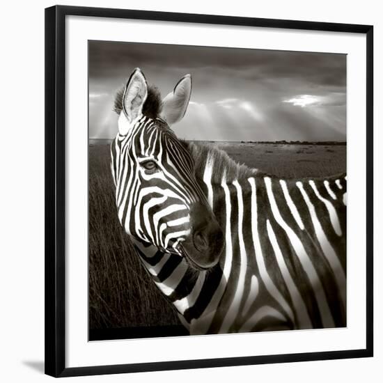 Black & White of Zebra and Plain, Kenya-Joanne Williams-Framed Photographic Print