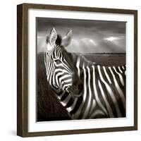 Black & White of Zebra and Plain, Kenya-Joanne Williams-Framed Photographic Print