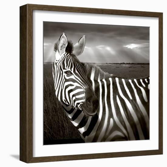 Black & White of Zebra and Plain, Kenya-Joanne Williams-Framed Photographic Print