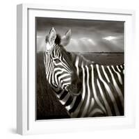 Black & White of Zebra and Plain, Kenya-Joanne Williams-Framed Photographic Print