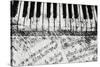 Black & White Piano Keys-Dan Meneely-Stretched Canvas