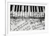 Black & White Piano Keys-Dan Meneely-Framed Art Print