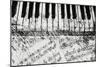 Black & White Piano Keys-Dan Meneely-Mounted Art Print