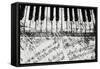 Black & White Piano Keys-Dan Meneely-Framed Stretched Canvas