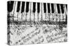 Black & White Piano Keys-Dan Meneely-Stretched Canvas