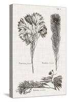 Black & White Protea on Linen I-Vision Studio-Stretched Canvas