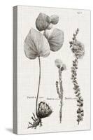 Black & White Protea on Linen II-Vision Studio-Stretched Canvas